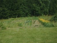 havenblomster - Kopi